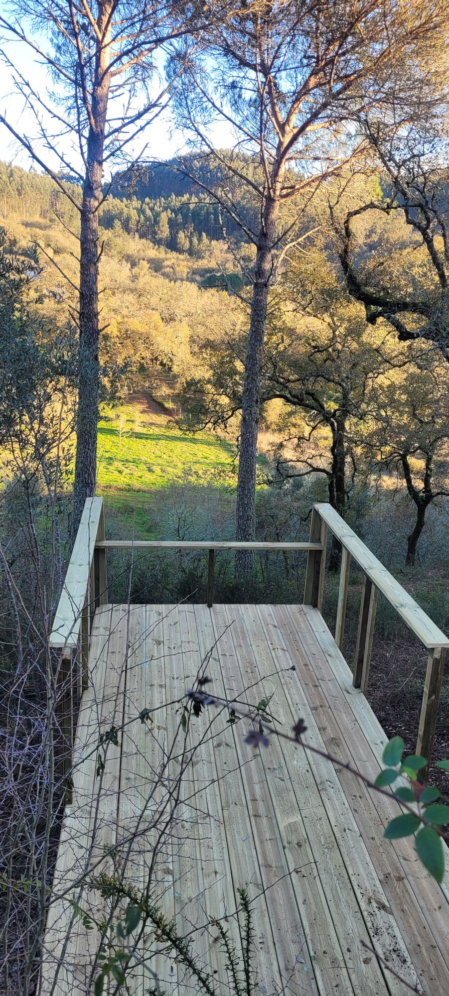 Hole 9 long tee