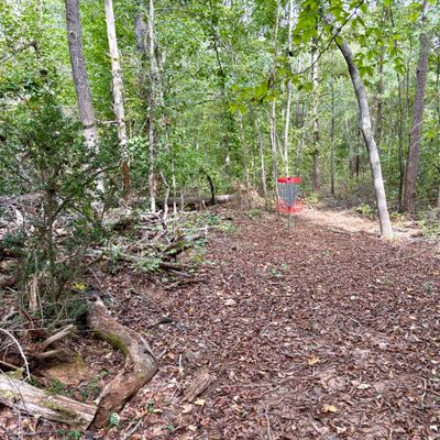 Hole 8 approach