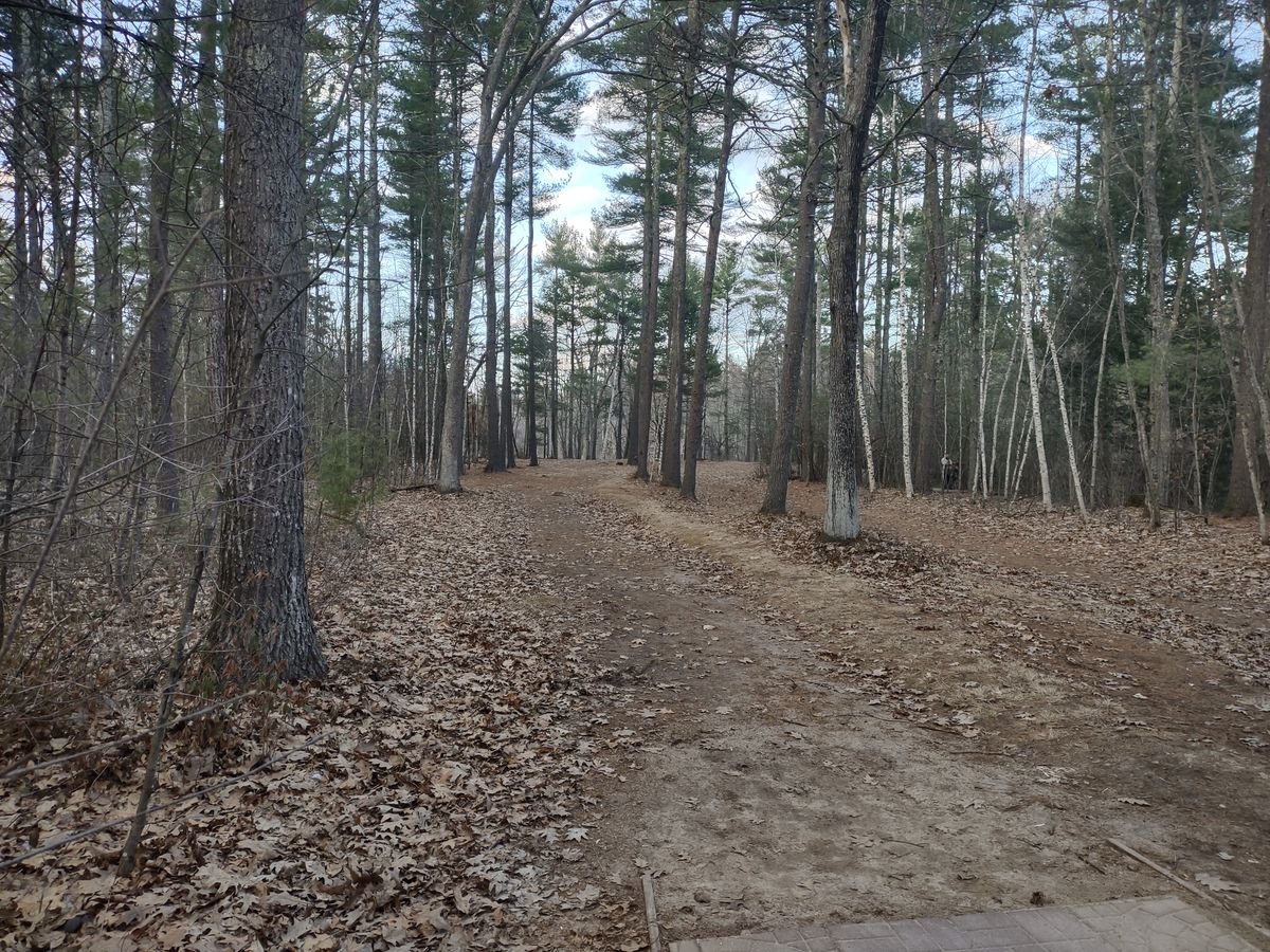Hole 8