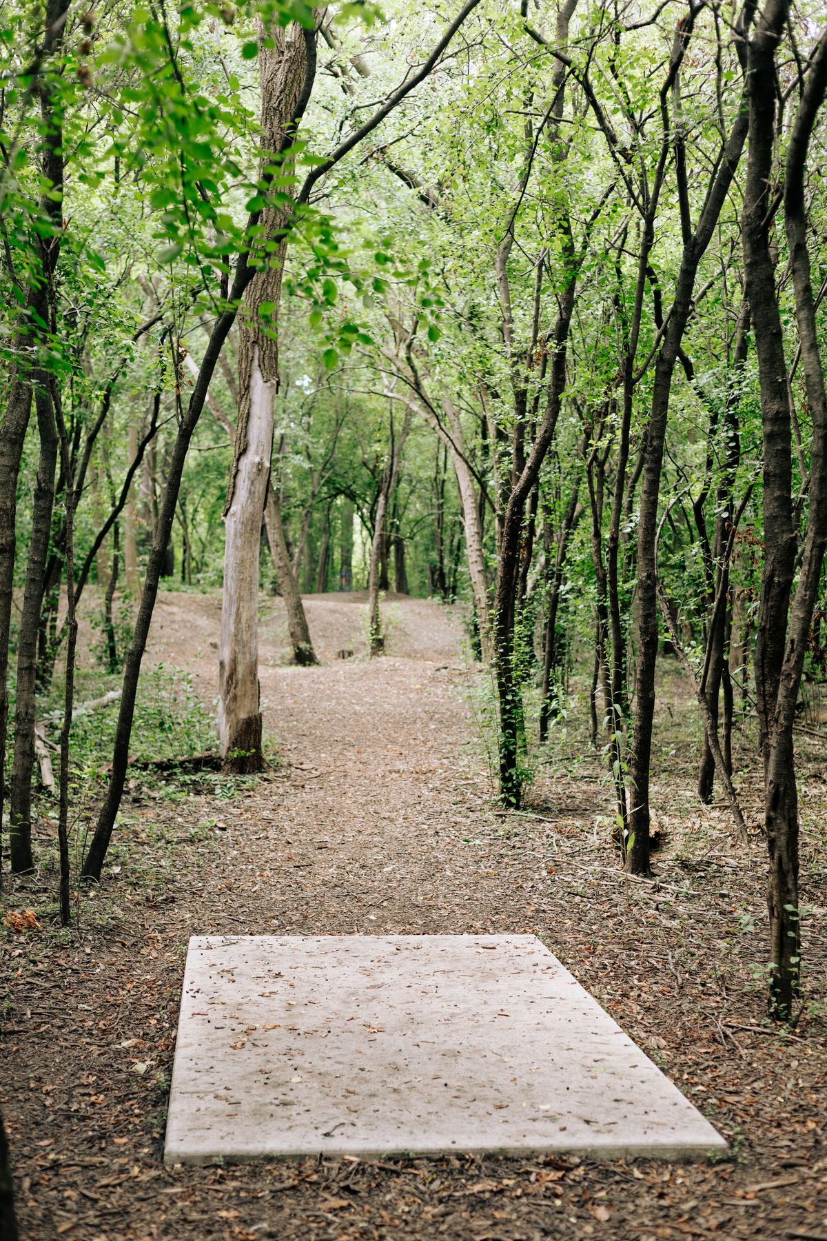 Hole 4