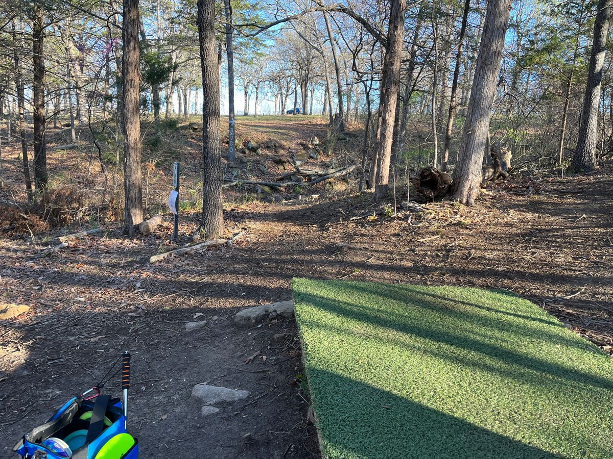 Hole 6, mando between 2 trees, basket far left by street