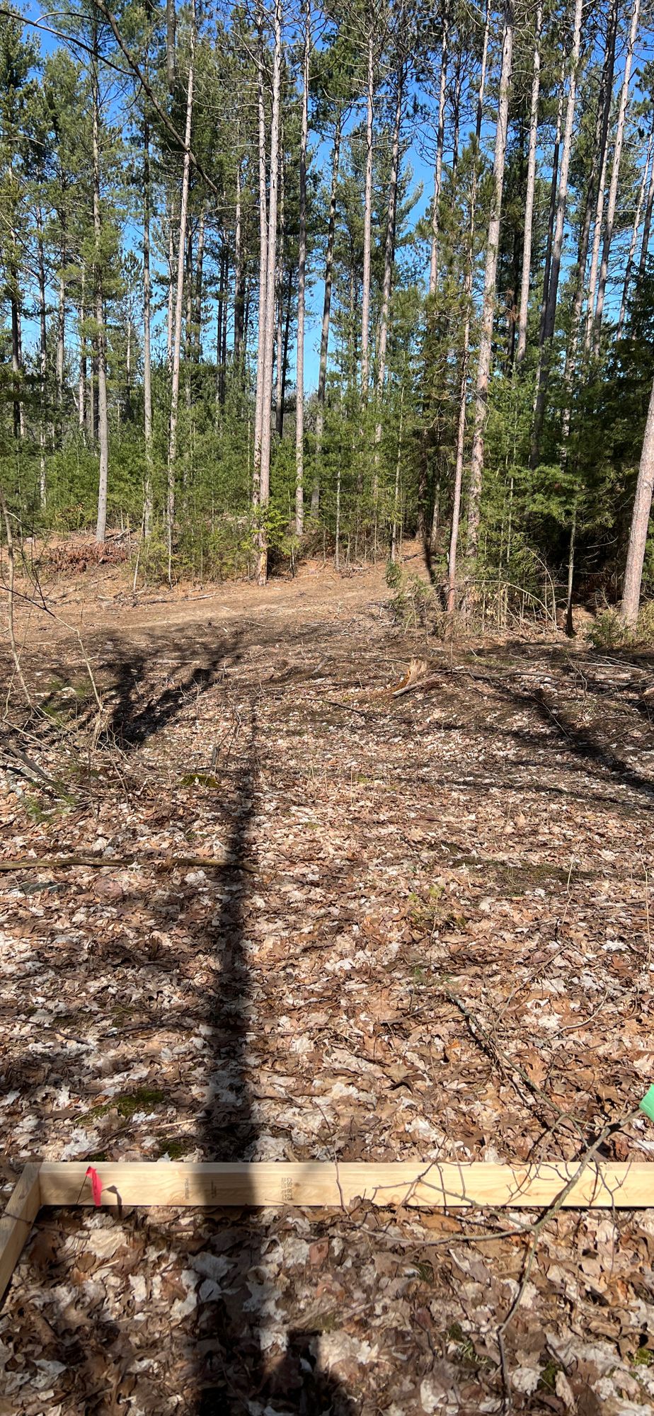 Hole 4 Tee
