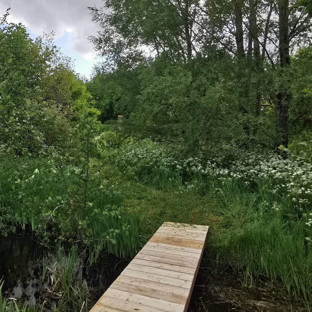 The new bridge between hole 18 and hole 1!