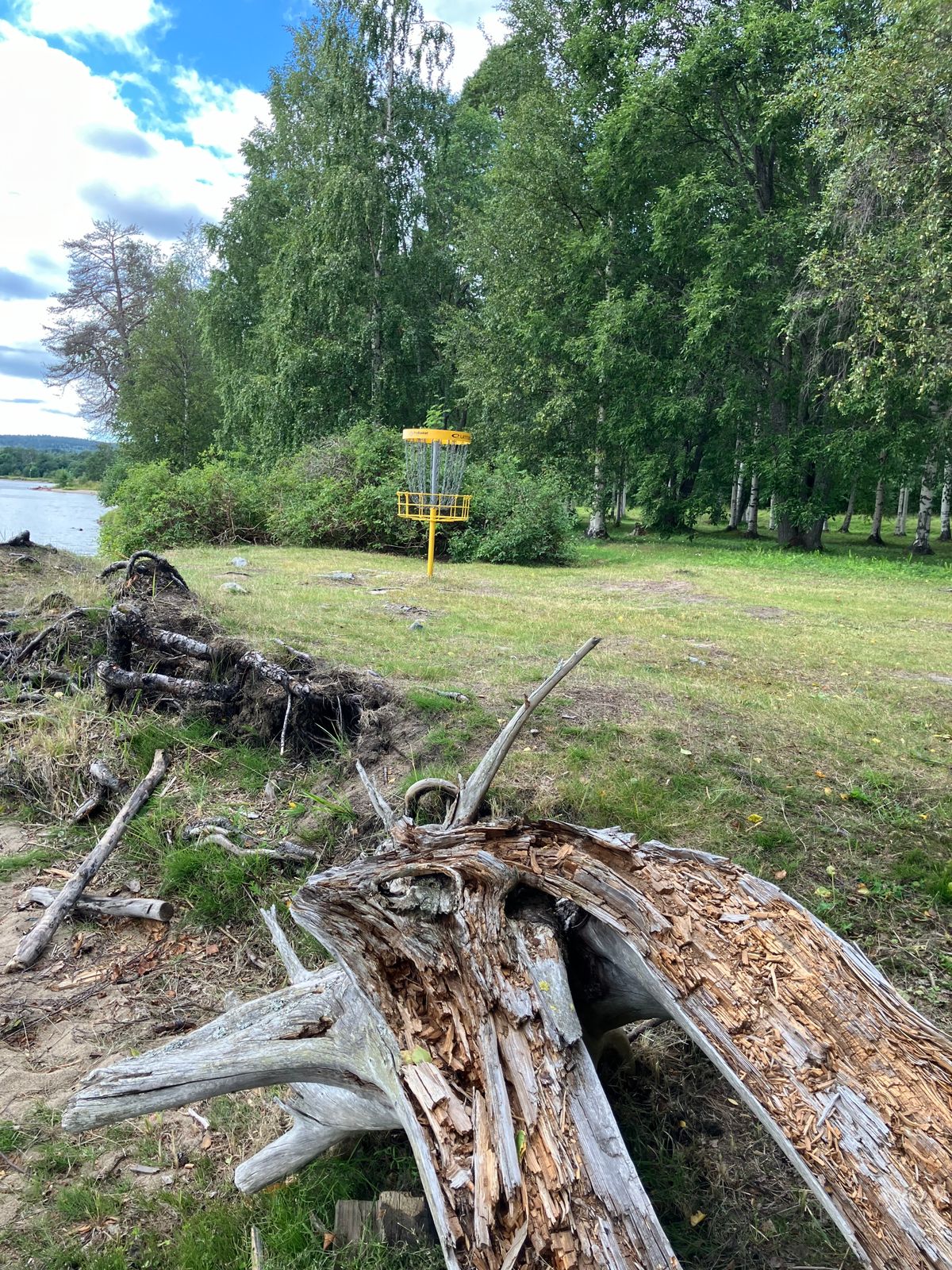 Hål 11, Green