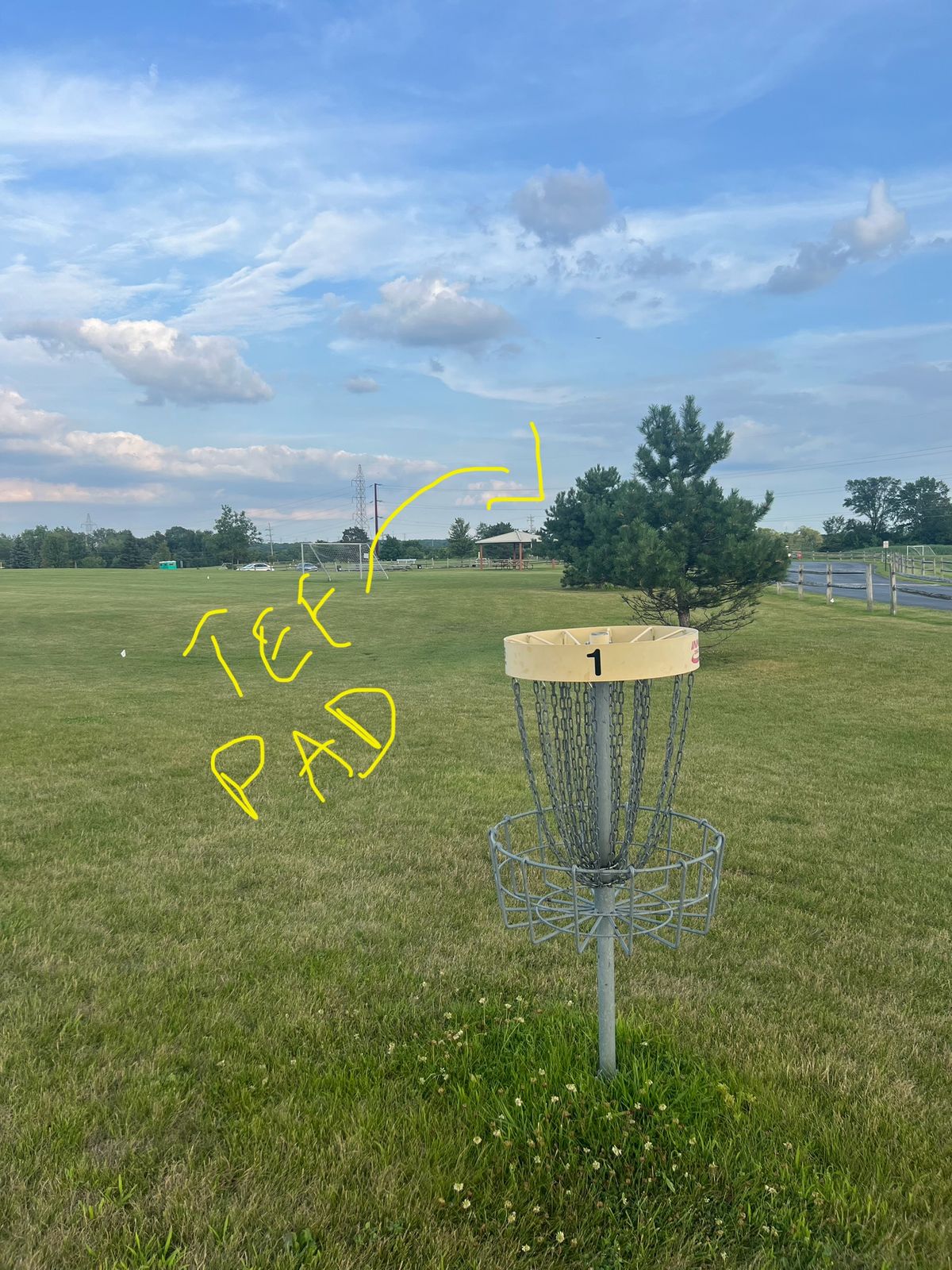 Hole 1 - Basket overlooking tee pad behind 4th Tree wrap around