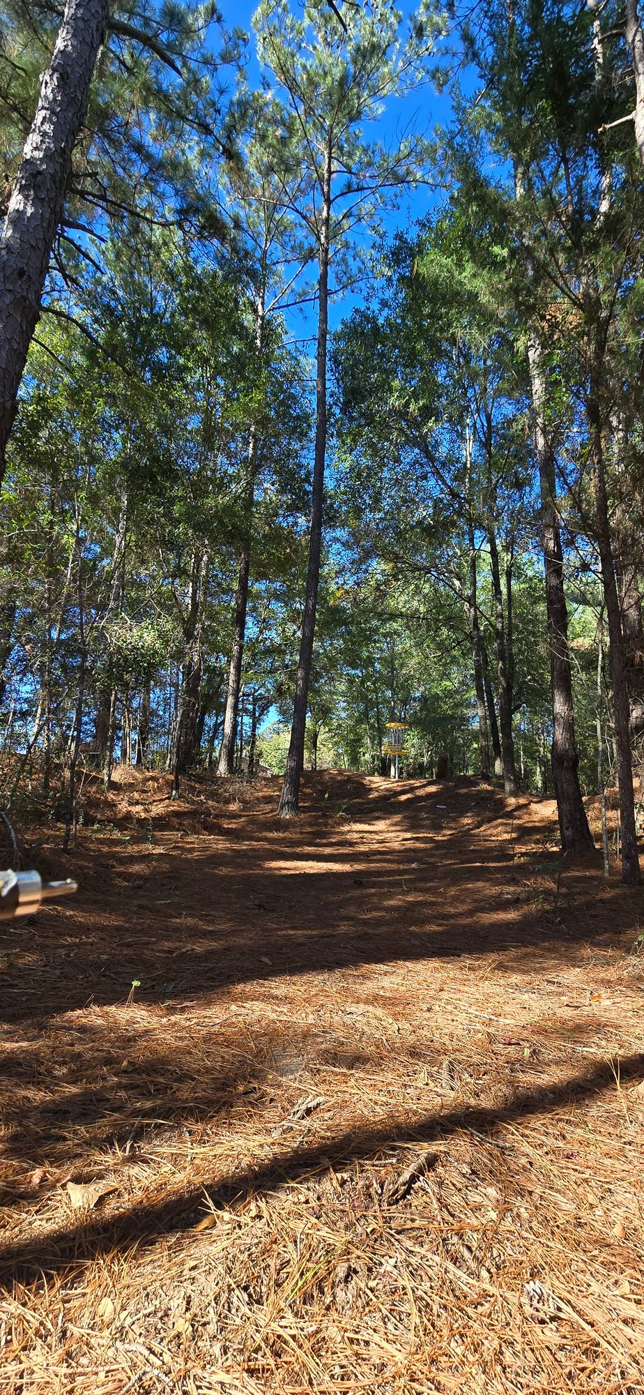 Hole 6 fairway