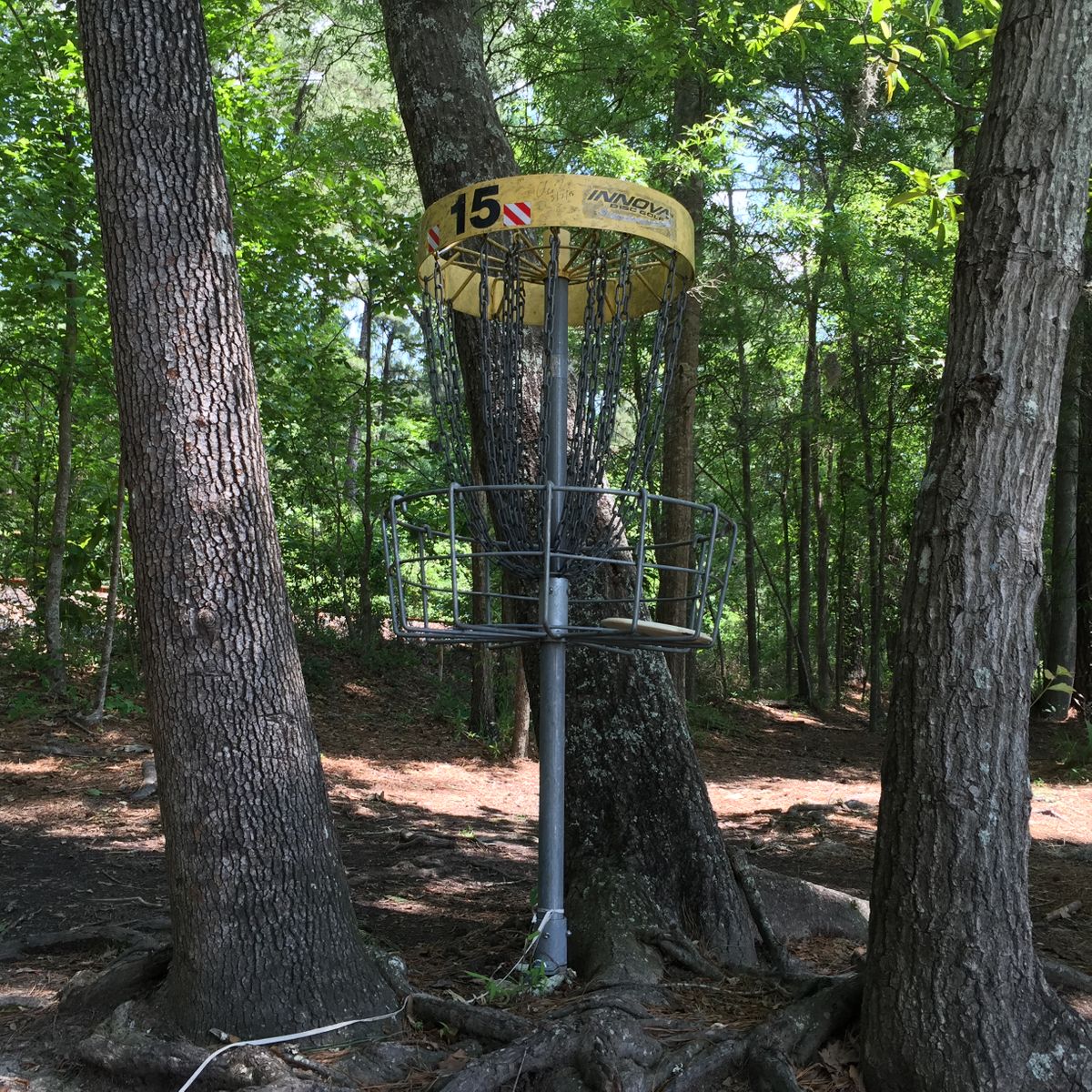 Hole 15