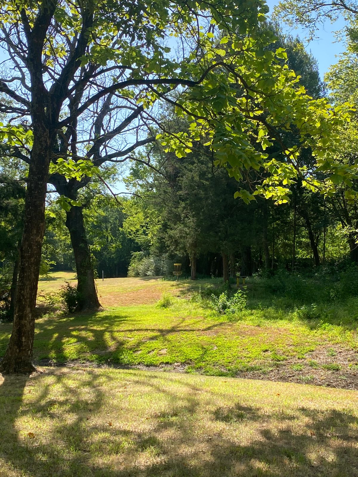 On the fairway oh Hole 6.