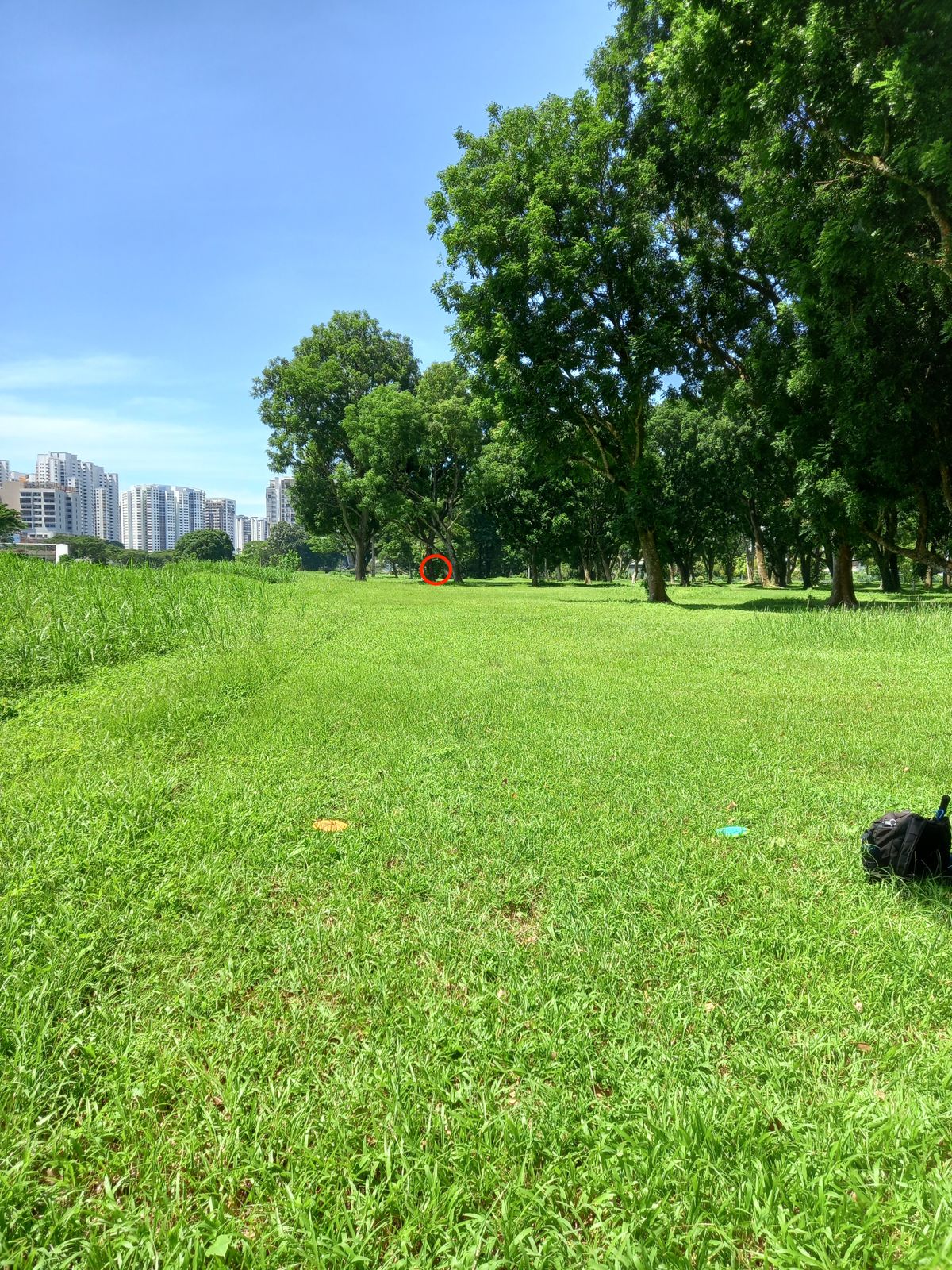Hole 11 Tee
