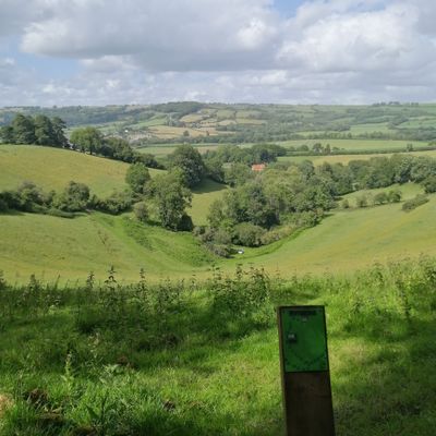9th tee