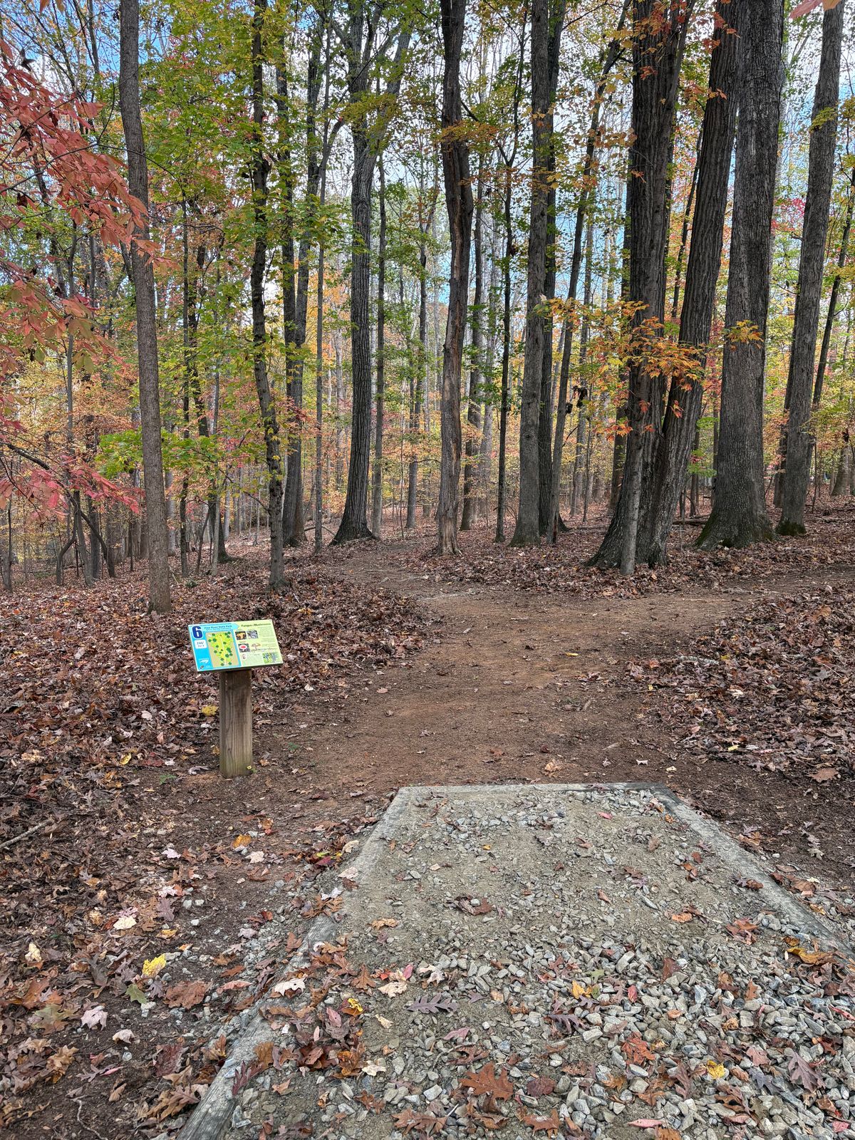 Hole 6