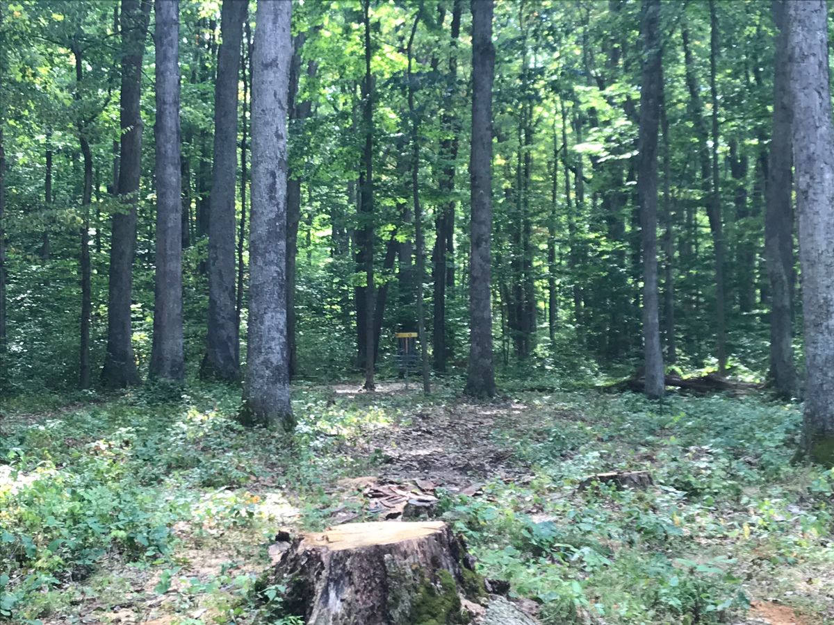 #13 fairway/basket