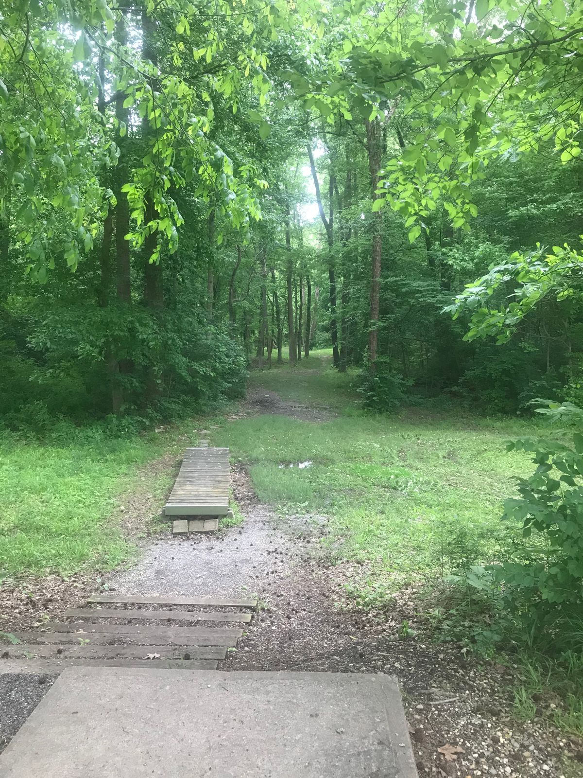 Hole 14