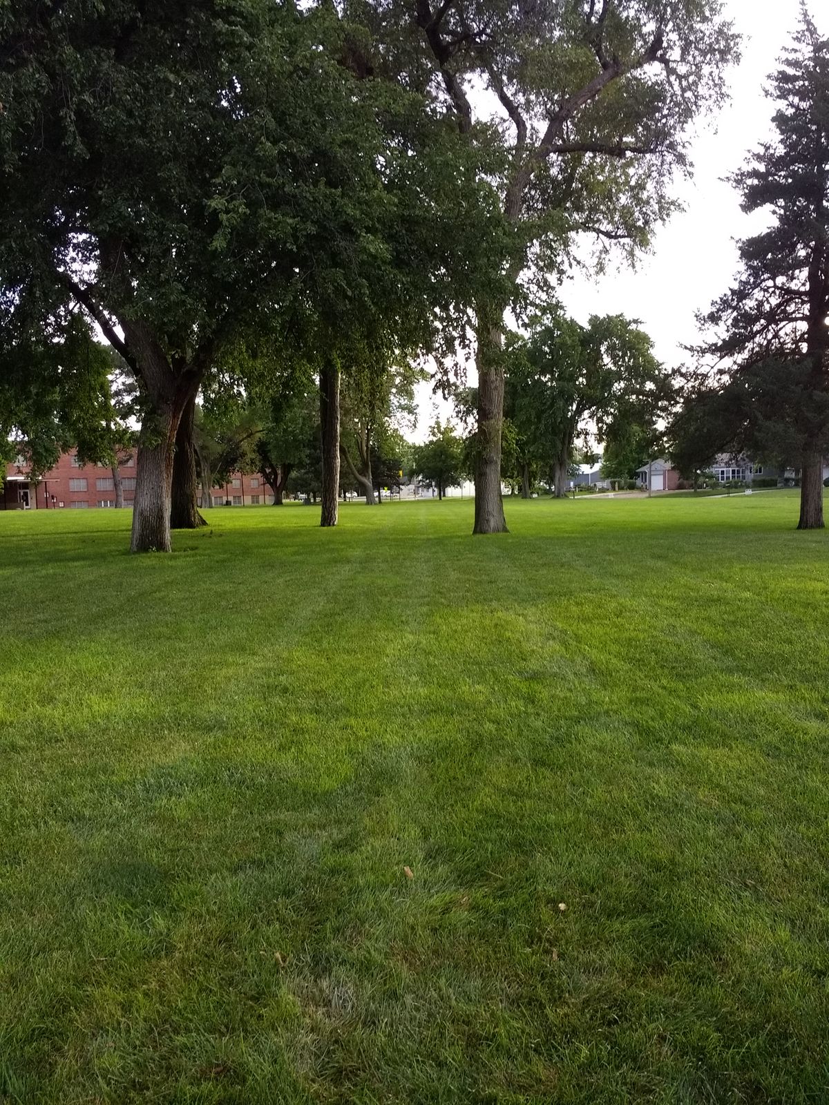 Hole #9 tee