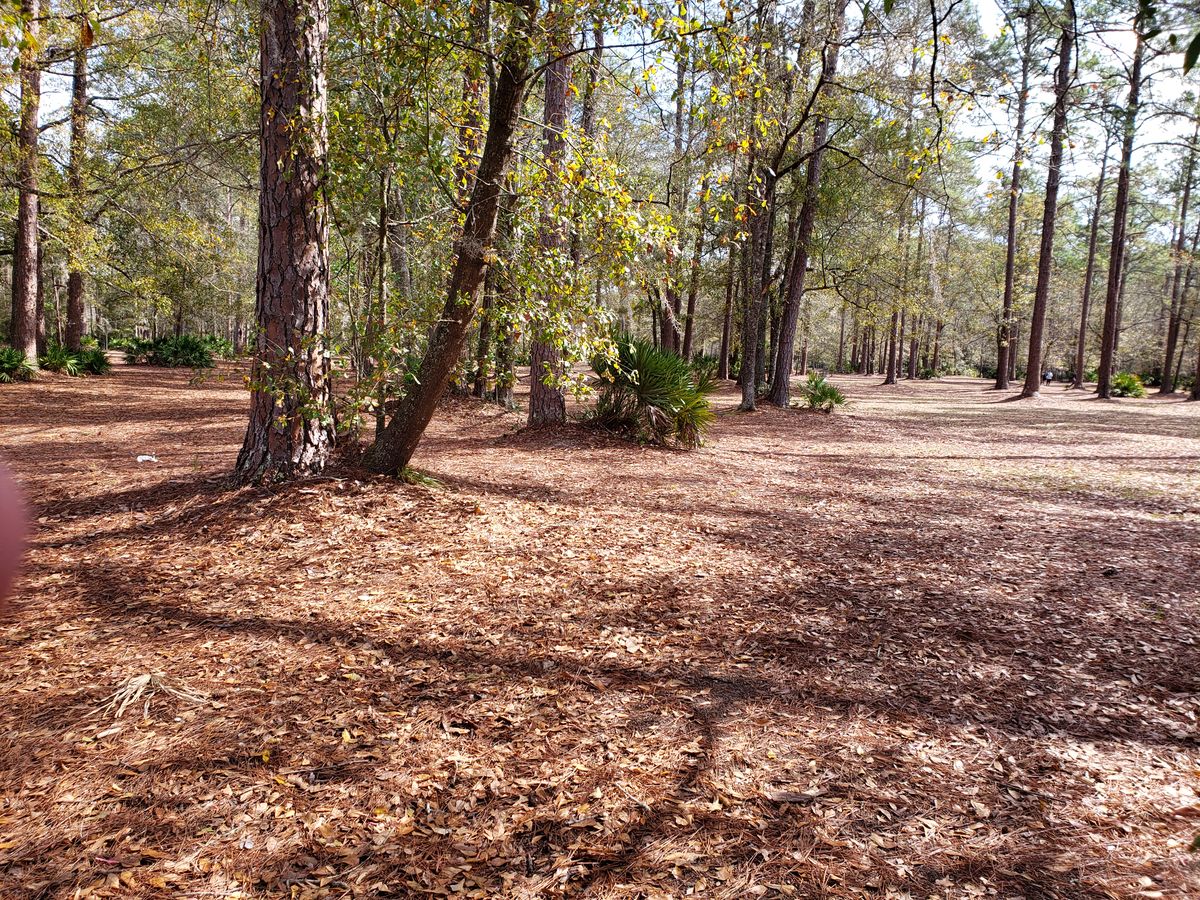 Beautiful terrain.