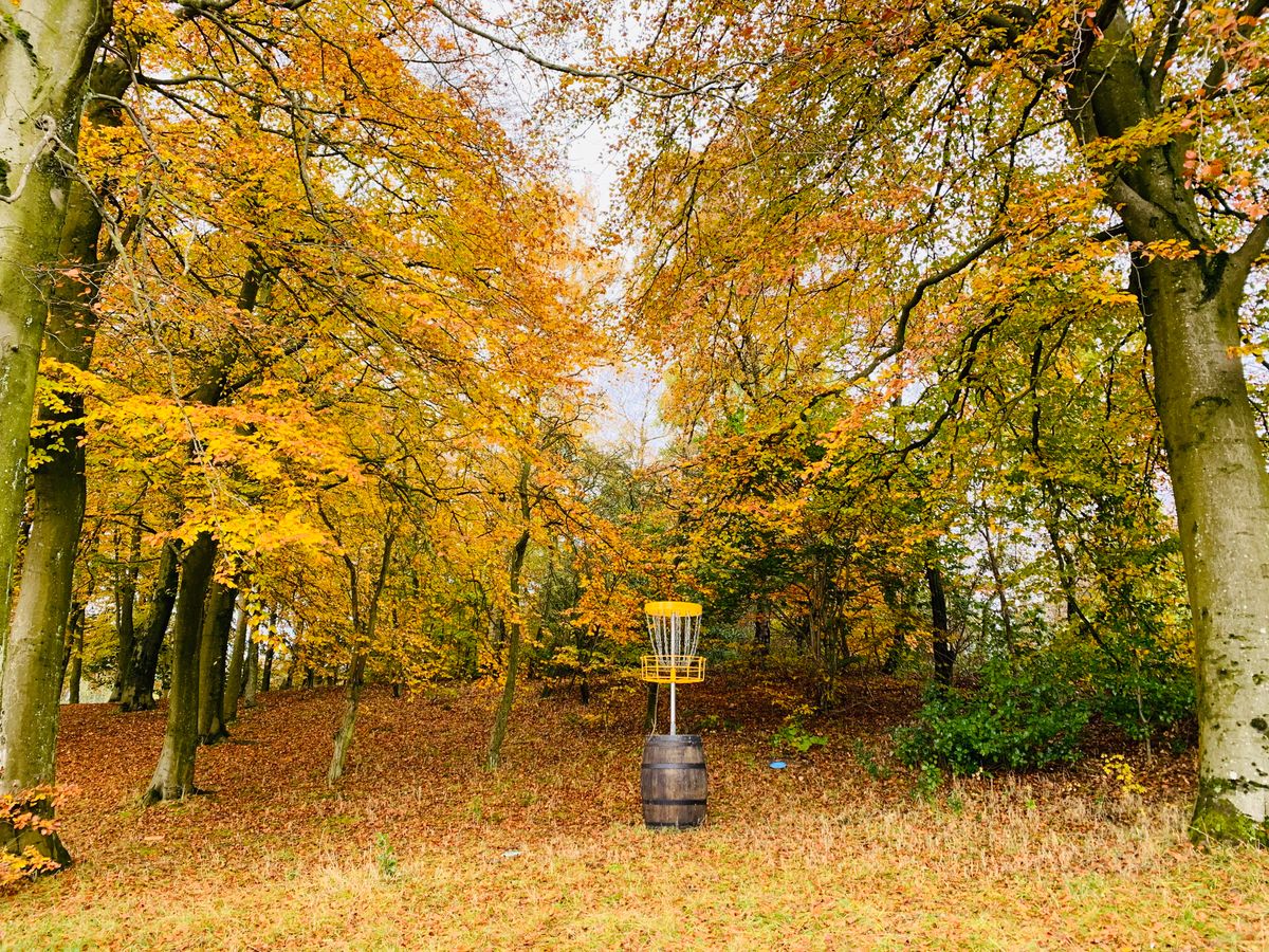 The wee Dram : Hole 8
