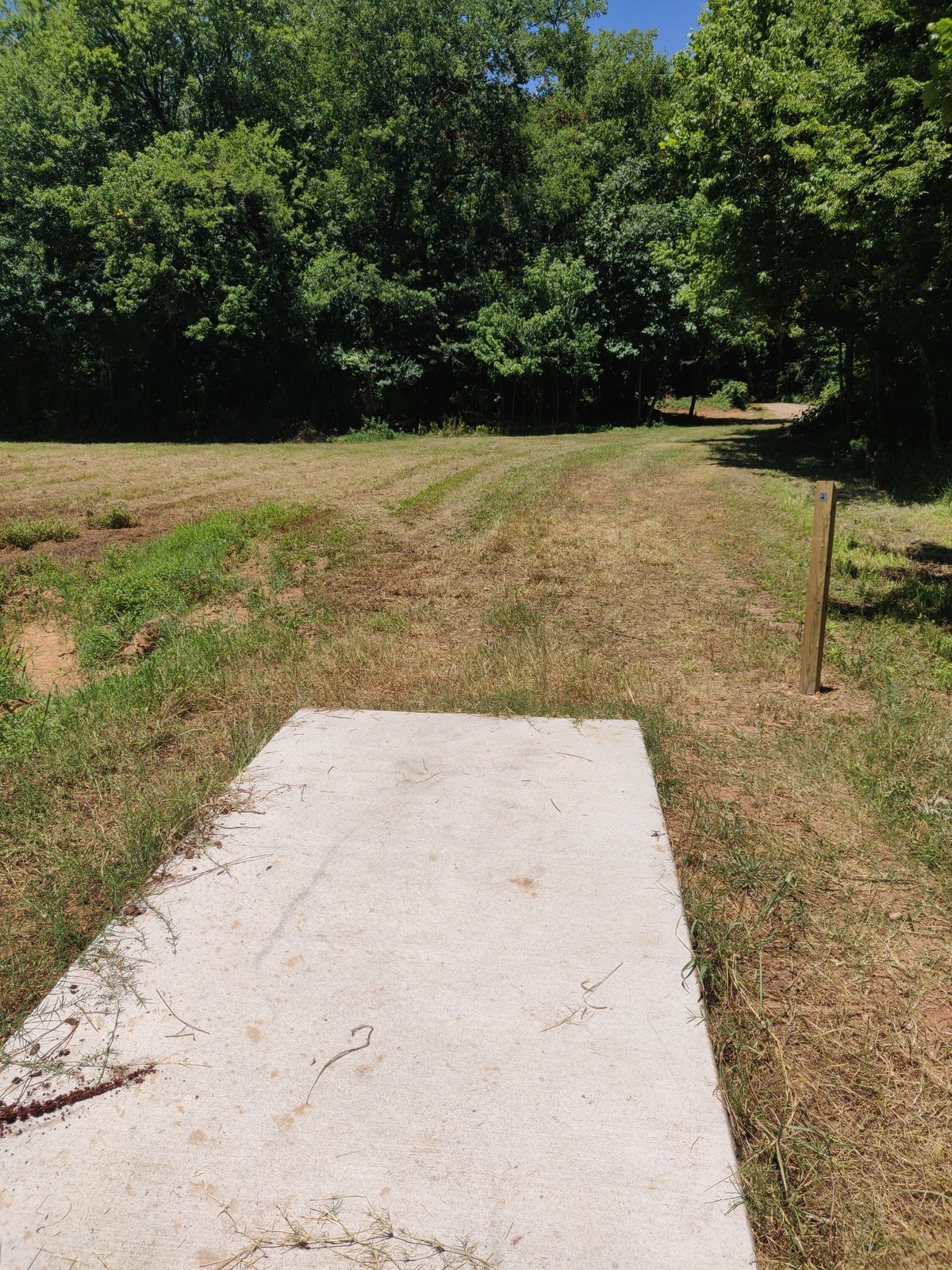 Hole 2. Looking toward the basket from the tee pad.