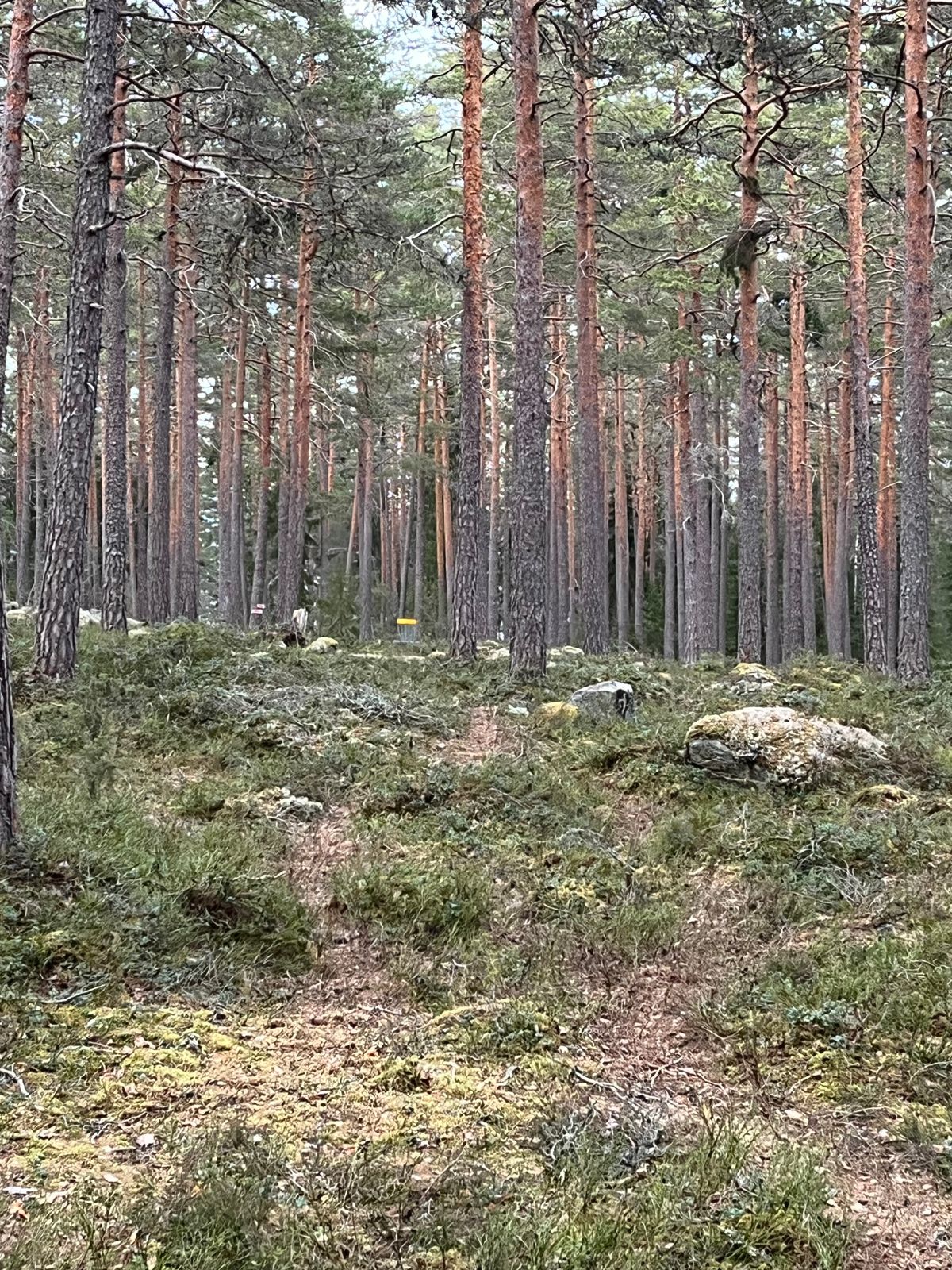 Hål 4
