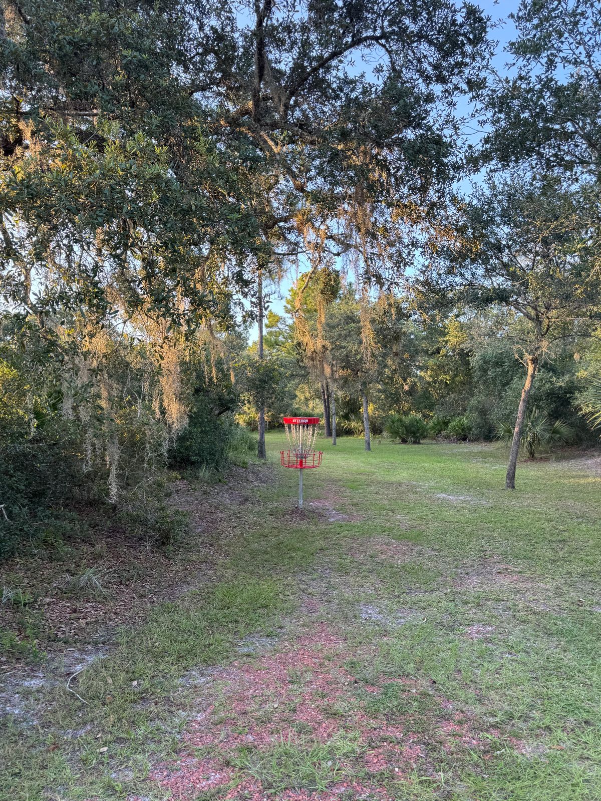 Hole 8 Red Basket