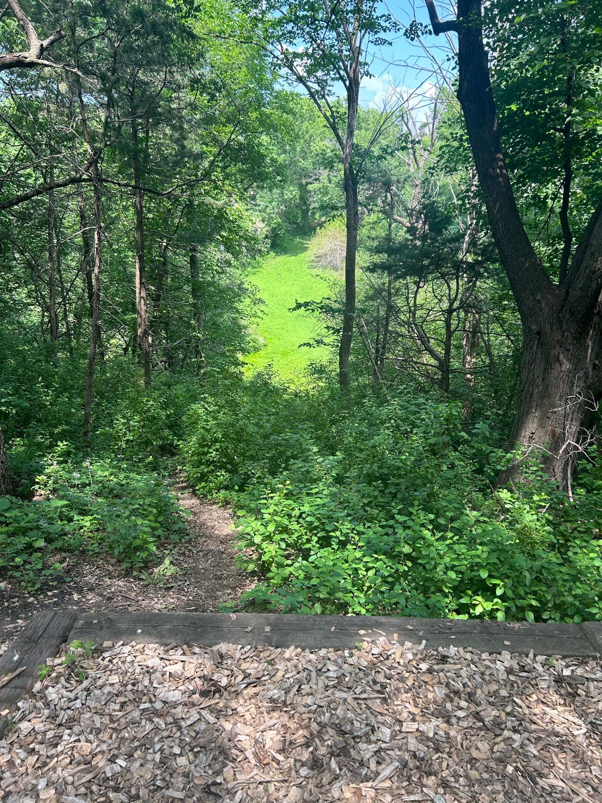 Hole 8