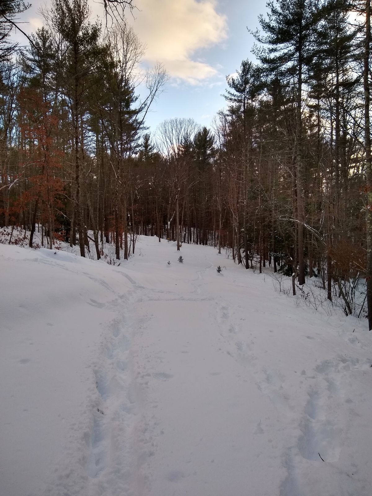 Hole 6