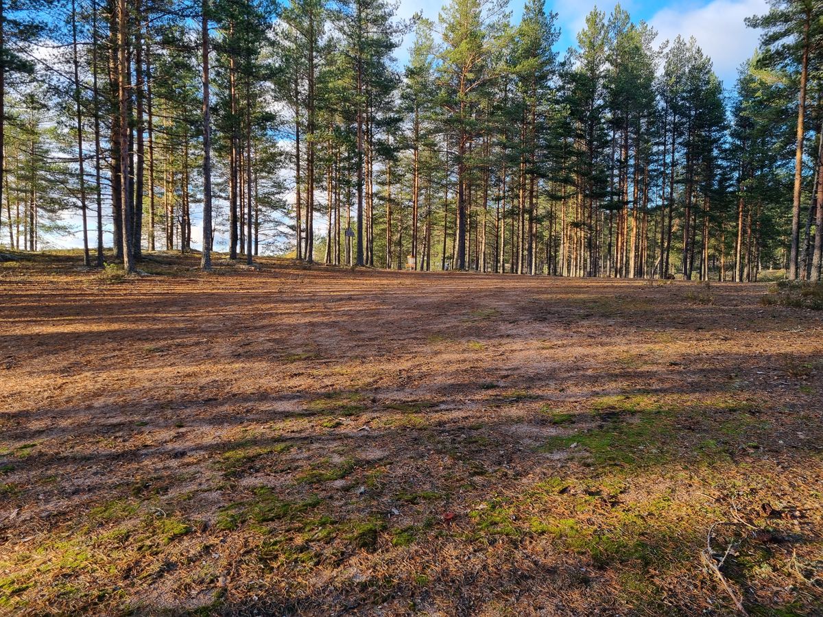 Väylä 15, kori keskellä kuvaa lyhyehkössä tunnelissa aukeasta vasemmalle