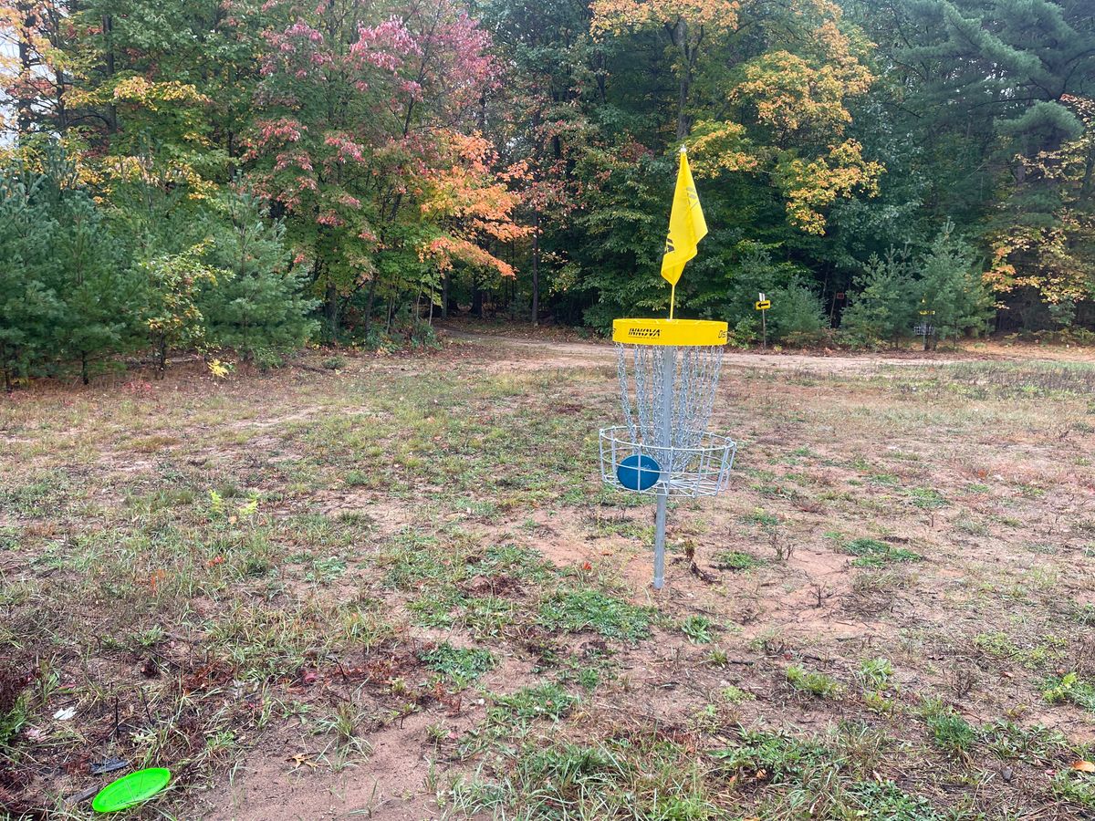 Basket one looking back up fairway