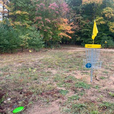 Basket one looking back up fairway