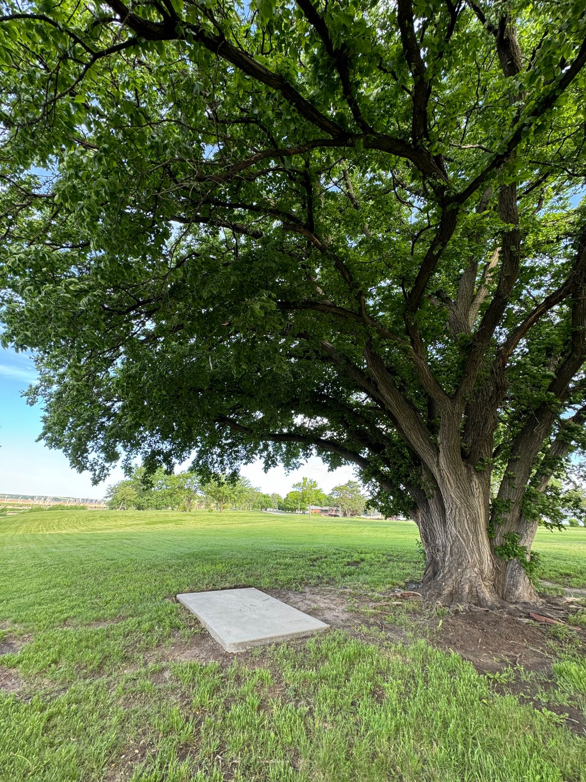Hole 11 tee