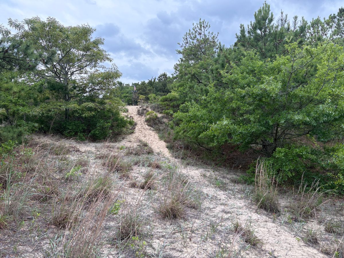 Hole 8 approach