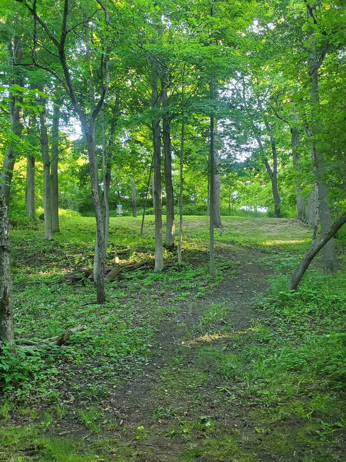 Hole 4