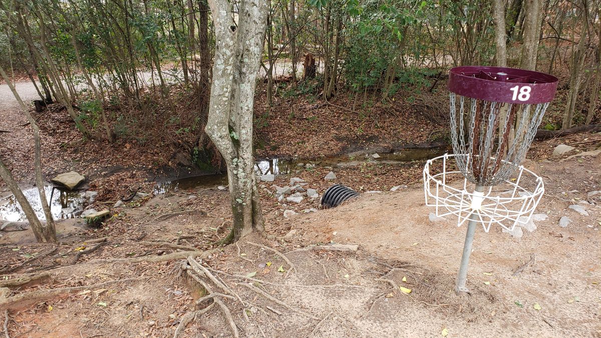 Basket 18. Don't overshoot into water hazard!