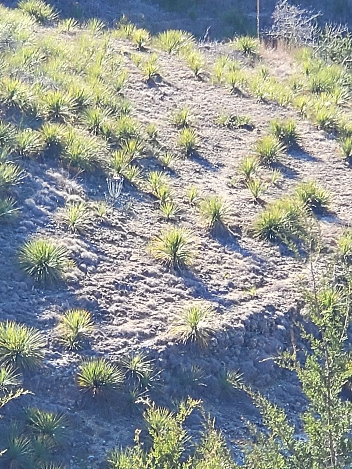 Zoomed in.