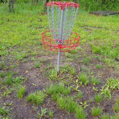 All baskets of this type
