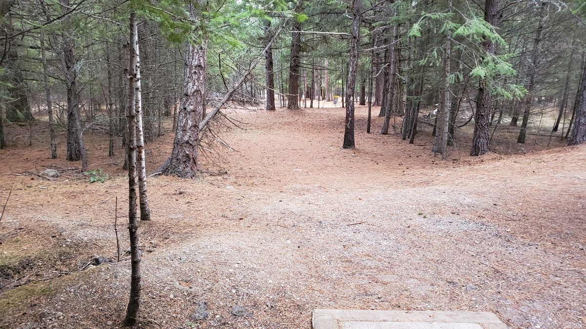 Tee pad hole 15/6 [9 hole]