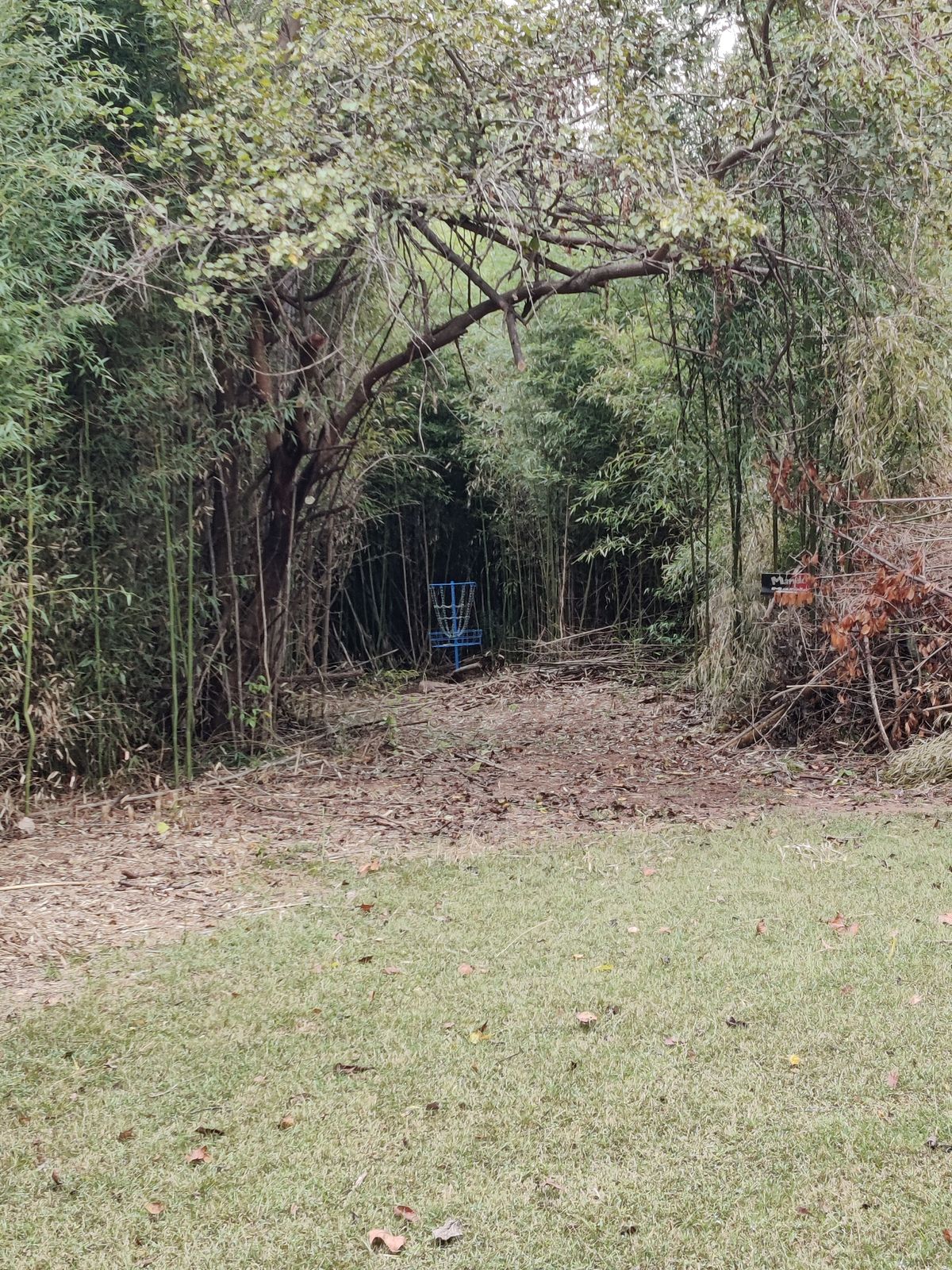 Hole 5