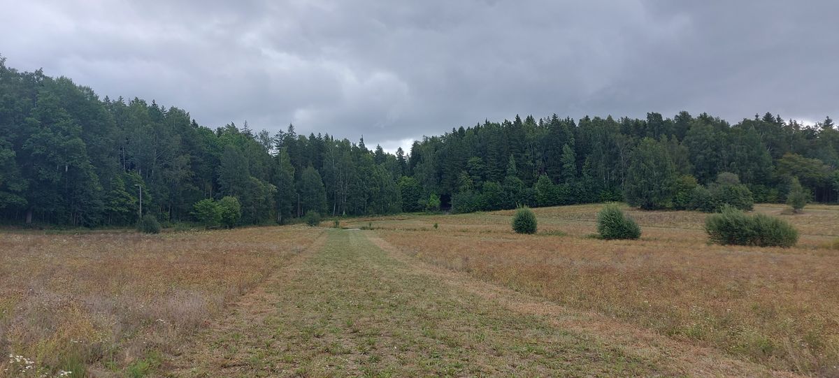 Peltoväylä