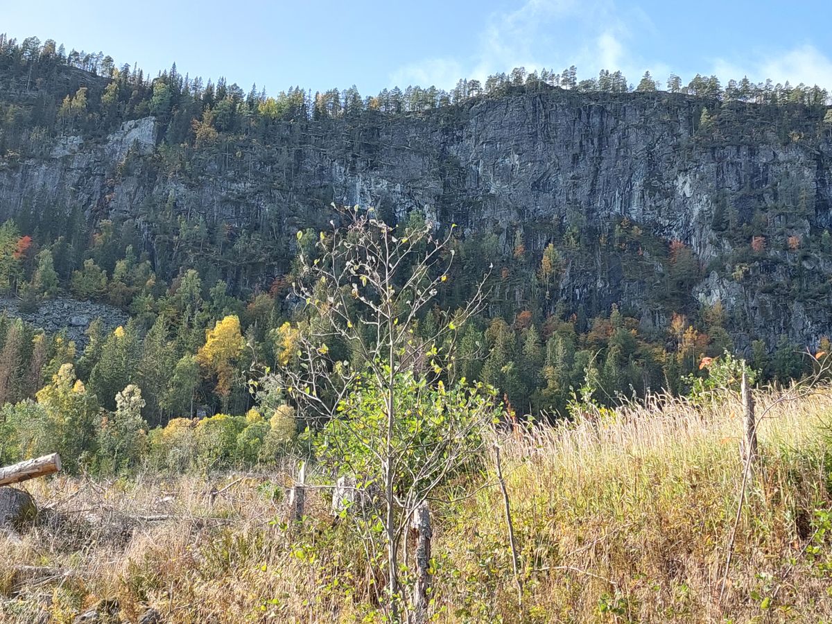 Scenery on way to hole 8