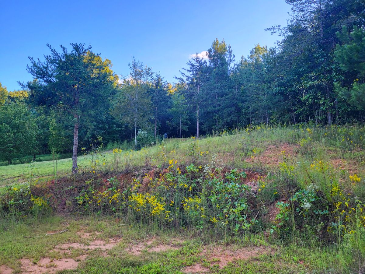 Beautiful wildflowers on the course! September 2023