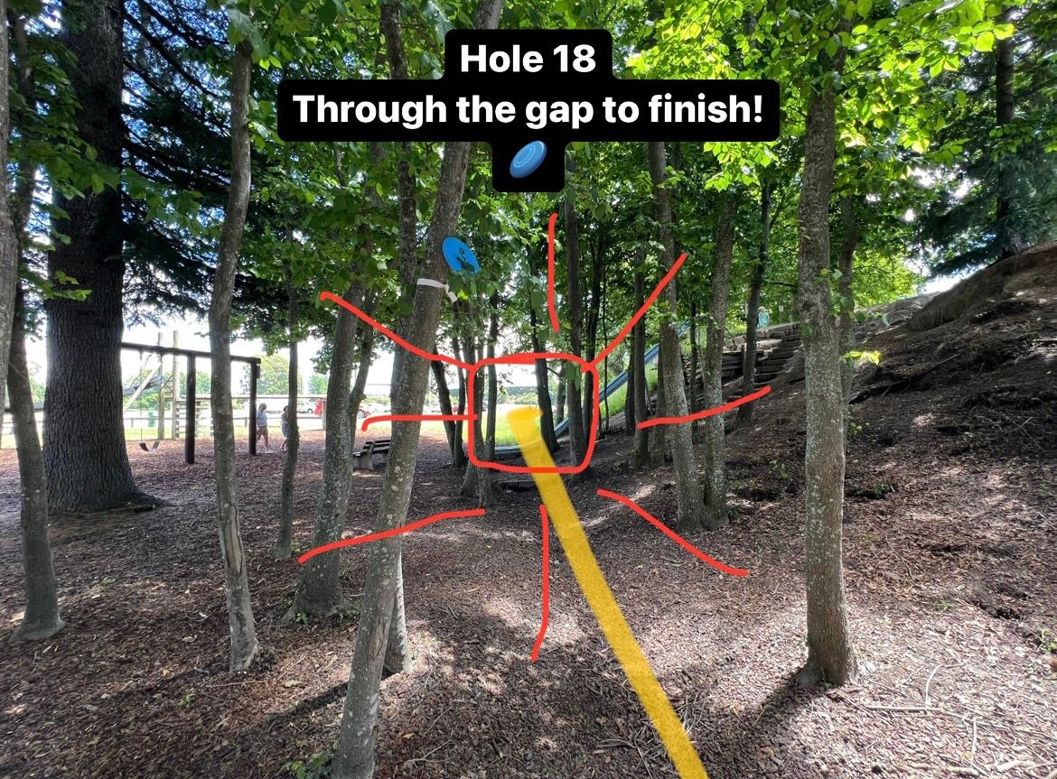 Hole 18 basket: shoot the gap to finish the round! If busy use alternate finish to left.