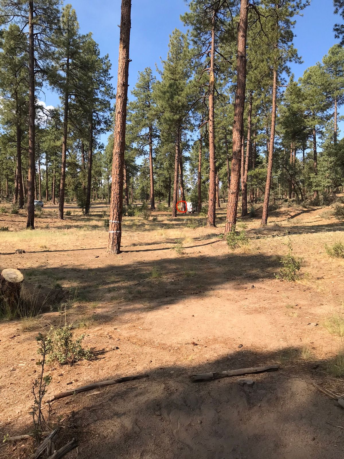 Tee 18