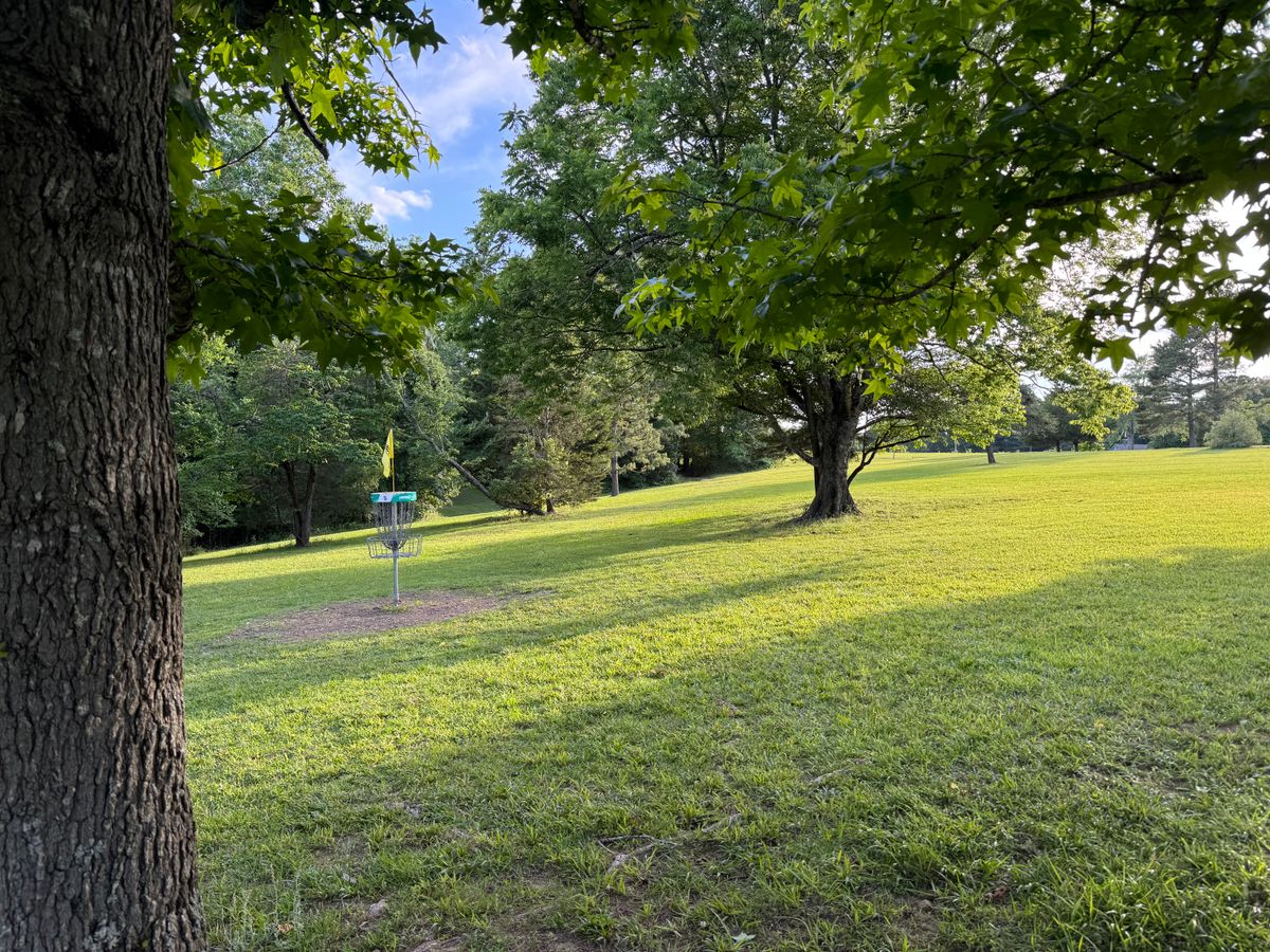 Hole 5 short pin