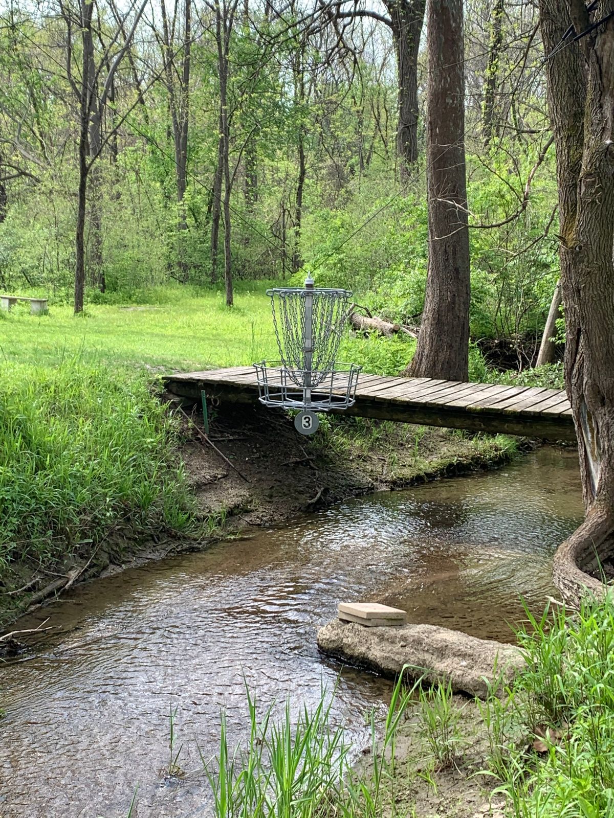 Hole 3 hanging basket