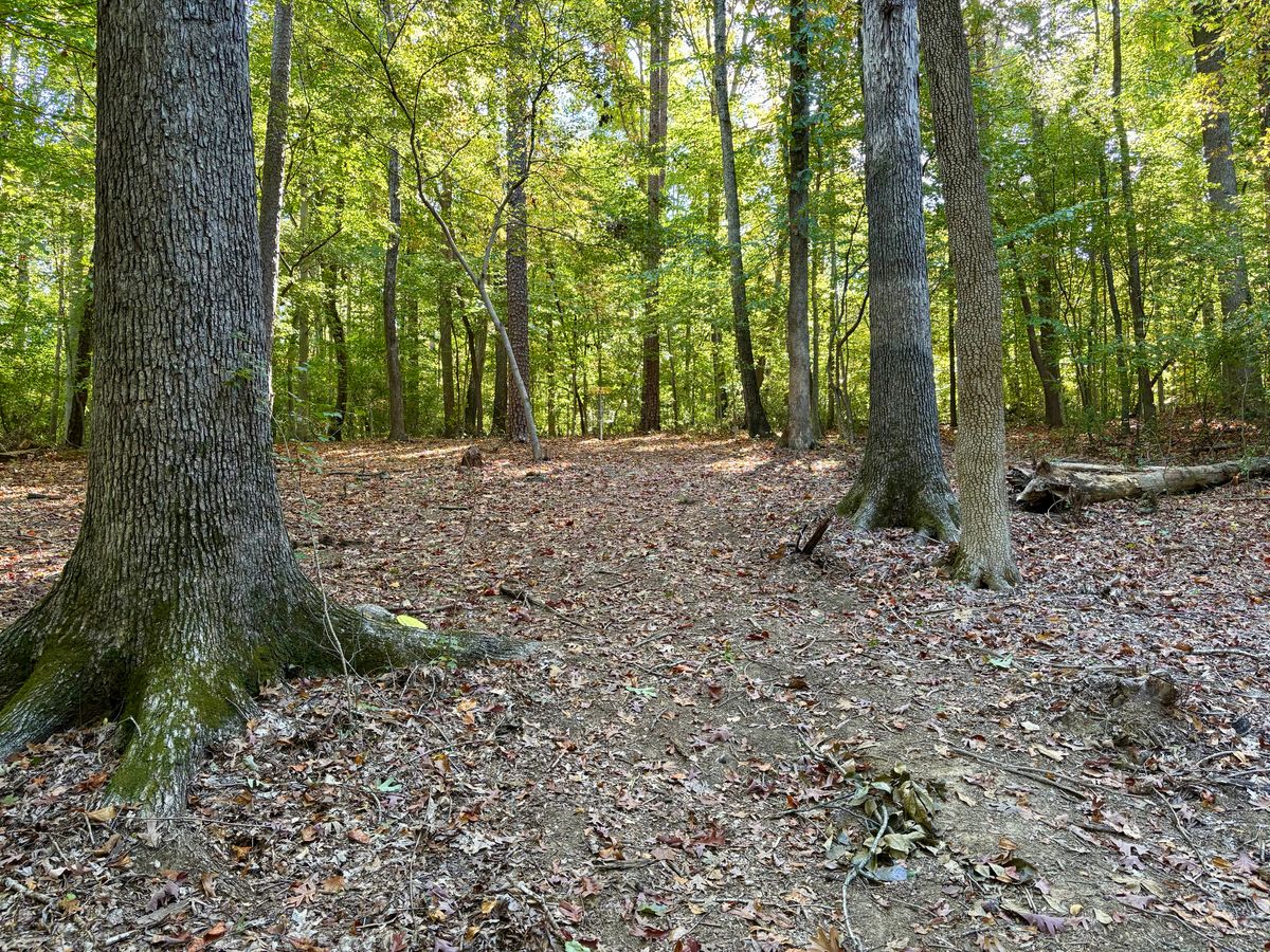 Hole 8 approach