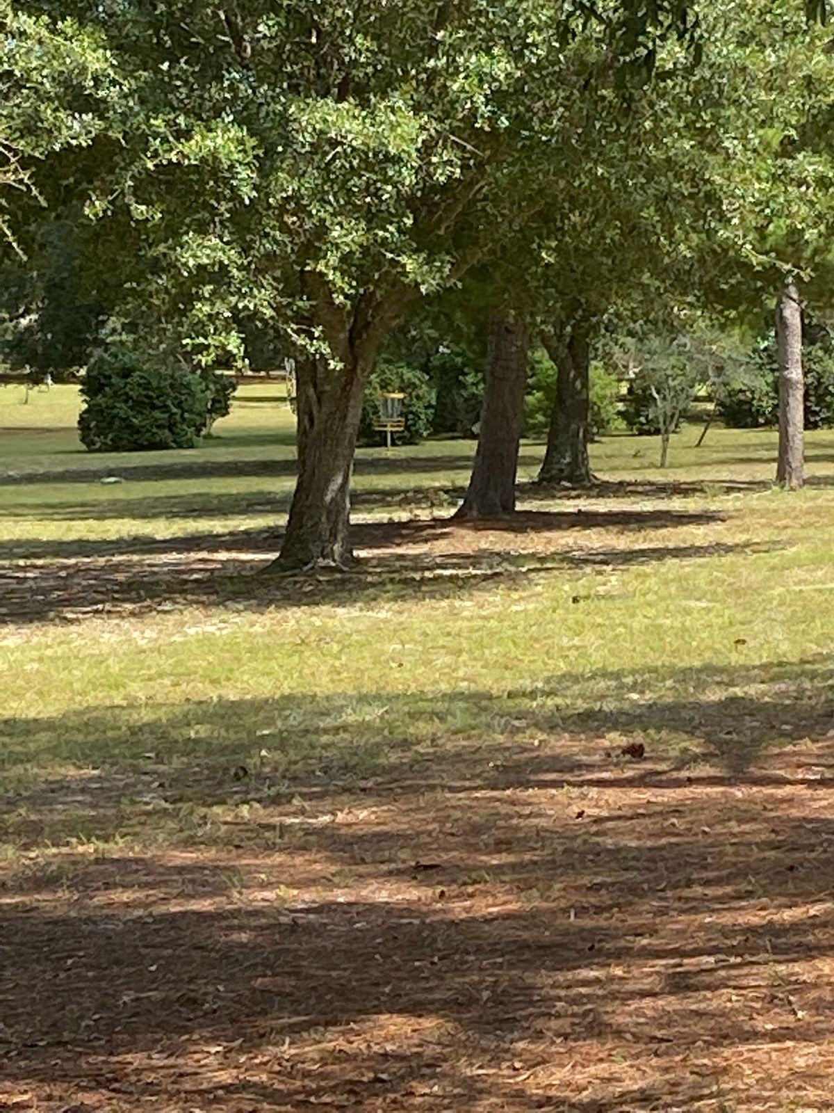Hole 10