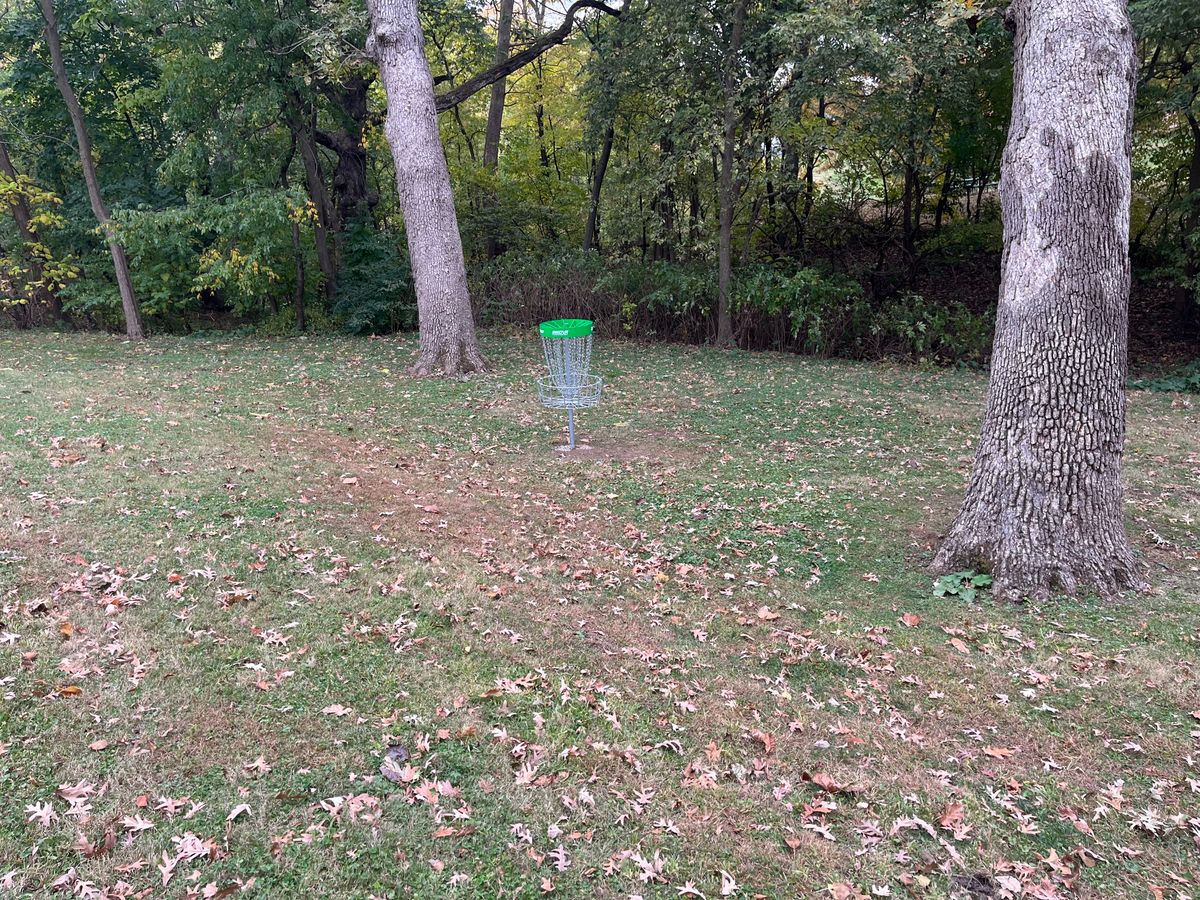 Hole #6 view from fairway