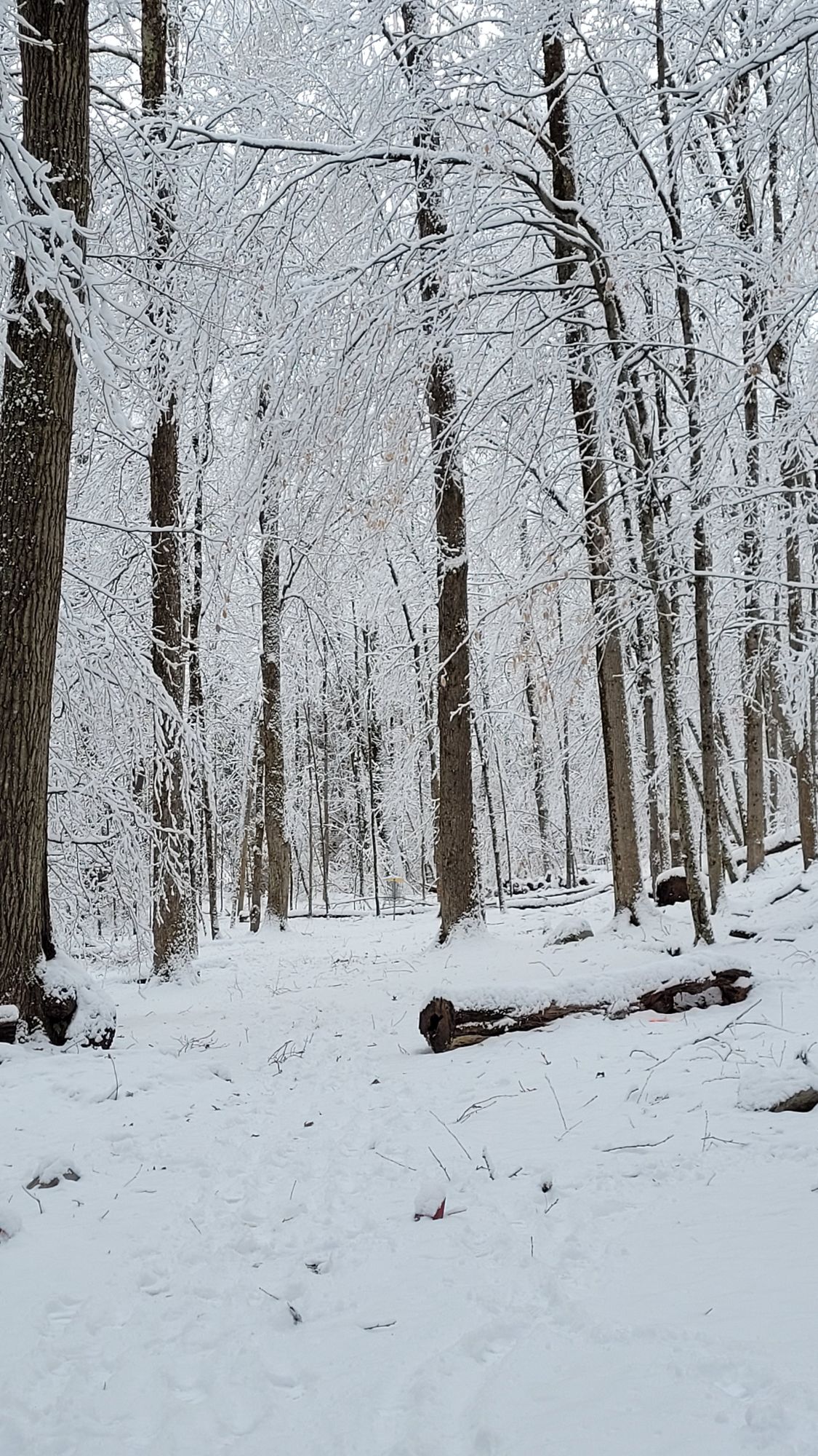 Hole 8 with fresh snow!