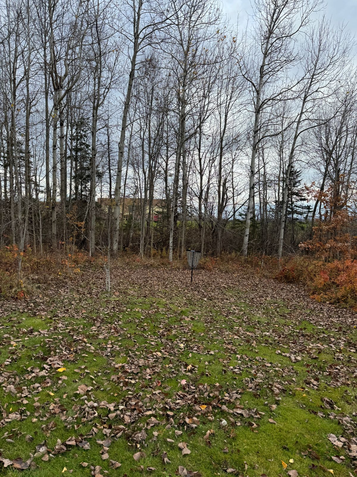 Hole 4, dogleg right. Still some color in November!