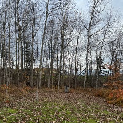 Hole 4, dogleg right. Still some color in November!