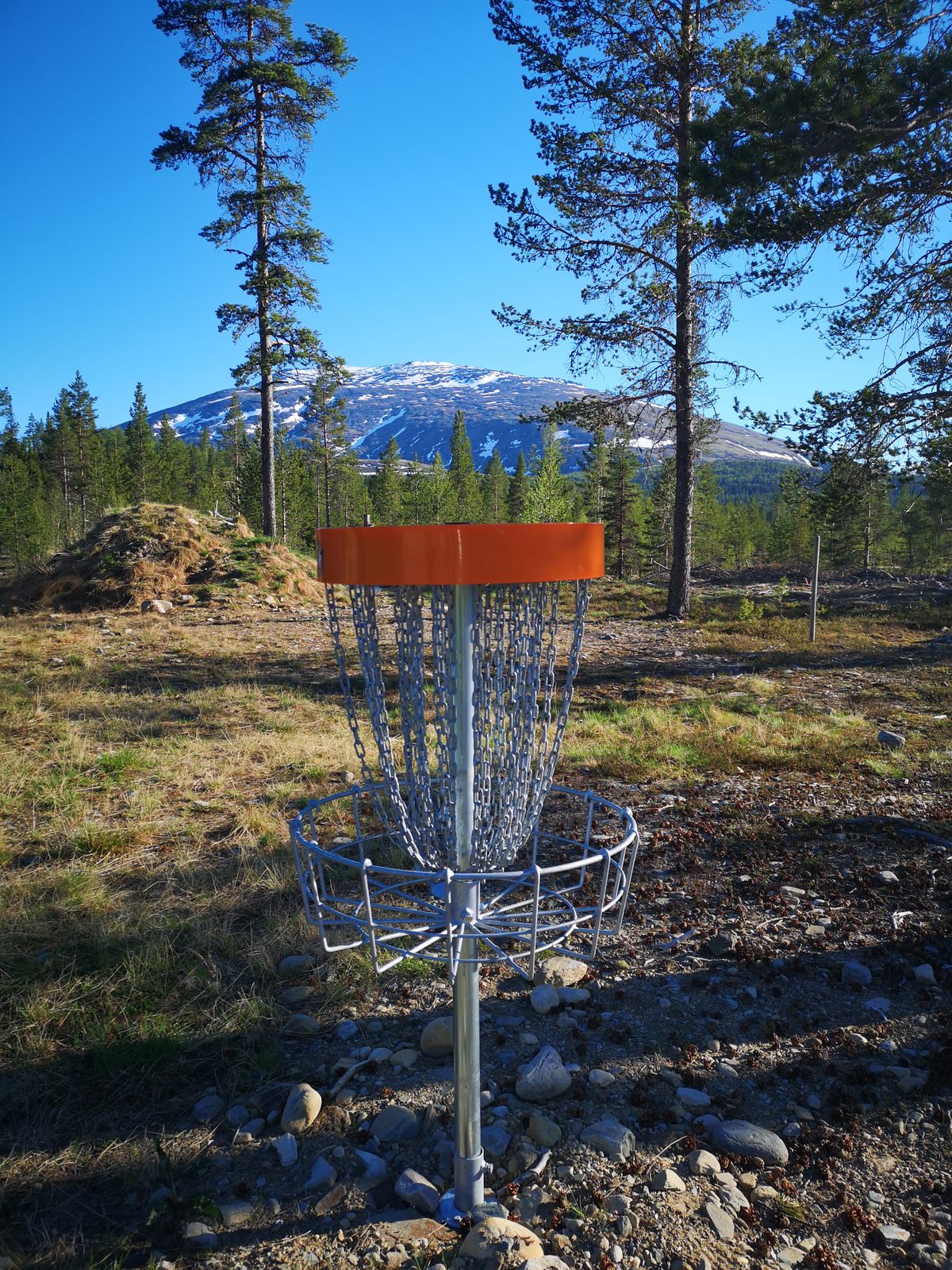 Kurv 6 med Tronfjell i bakgrunnen
